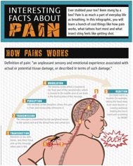 Thumbnail Facts About Pain Infographic